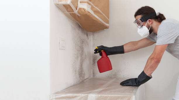 Professional Mold Inspection And Testing technician working in Pompton Plains, NJ